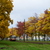 Image-square_50
