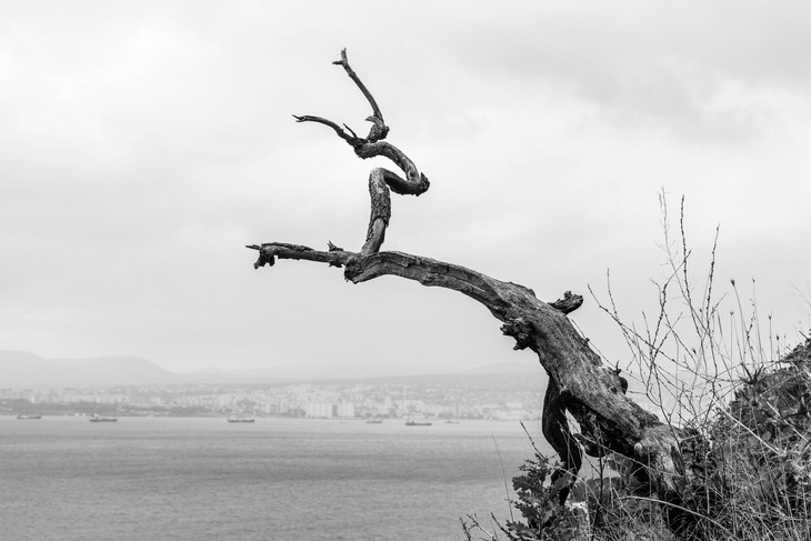 Image-normal