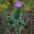 Image-square_50