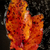 Image-square_50