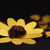 Image-square_50