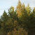 Image-square_50
