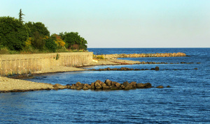 Image-preview_300x200