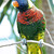 Image-square_50