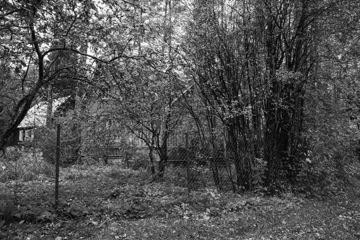 Image-normal