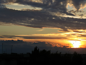 Image-preview_300x200