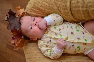 Image-preview_300x200