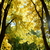 Image-square_50