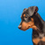 Image-square_50