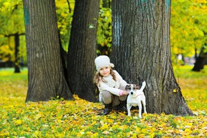 Image-preview_300x200