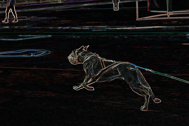Image-normal