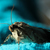 Image-square_50