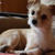 Image-square_50