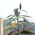 Image-square_50