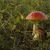 Image-square_50