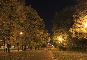 Image-preview_300x200