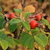Image-square_50