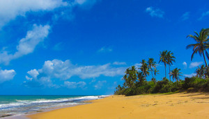 Image-preview_300x200
