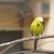 Image-square_50