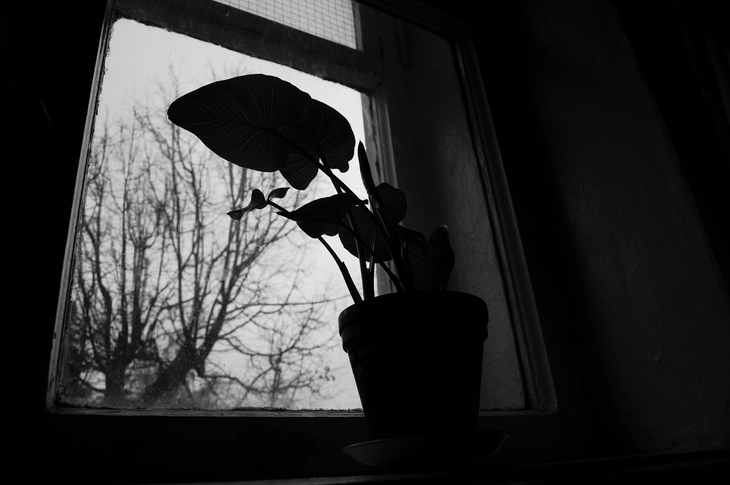 Image-normal
