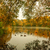 Image-square_50