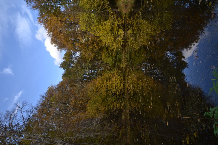 Image-normal