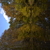 Image-square_50