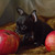 Image-square_50