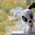 Image-square_50