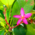Image-square_50
