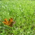Image-square_50