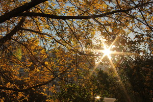 Image-preview_300x200