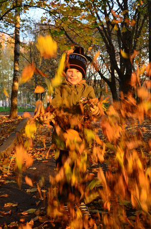 Image-preview_300x200