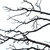 Image-square_50