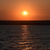 Image-square_50