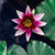 Image-square_50