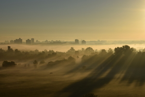 Image-preview_300x200