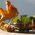 Image-square_50
