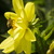 Image-square_50