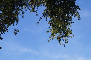 Image-preview_300x200
