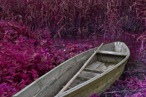Image-preview_300x200