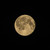 Image-square_50