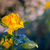 Image-square_50