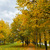 Image-square_50