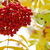 Image-square_50