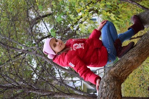Image-preview_300x200