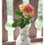 Image-square_50