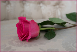 Image-preview_300x200
