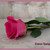 Image-square_50