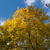Image-square_50